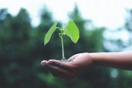 grow apart